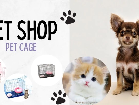  Discover the Best Products at Top Dog Pet Store Gardena: Your Ultimate Destination for Pet Supplies