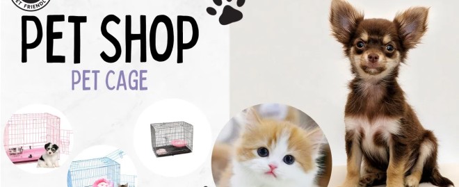  Discover the Best Products at Top Dog Pet Store Gardena: Your Ultimate Destination for Pet Supplies