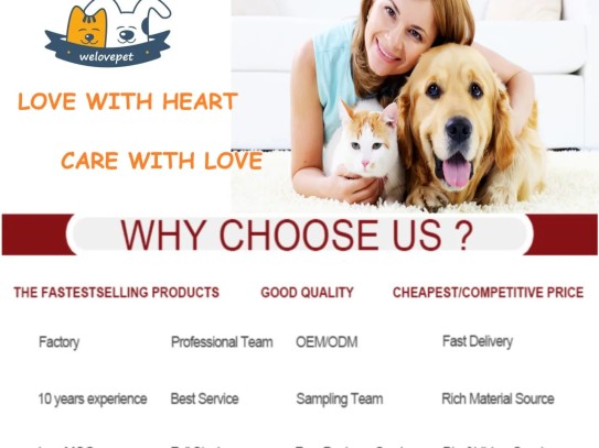 Discover the Best Pet Partners Bellevue: Your Ultimate Guide to Pet Care