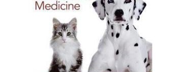 # Discover Your Pet's Unique Heritage: Know Your Pet DNA by Ancestry