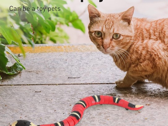  Why the Snake Plant is Safe for Pets: A Comprehensive Guide for Pet Owners